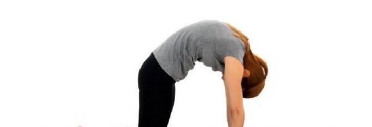 ATELIER Dos & Posture dimanche 4 janvier 10h