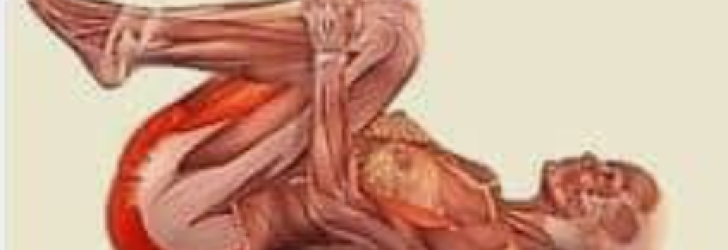 ATELIER Dos & Posture Dimanche 4 janvier 11h30